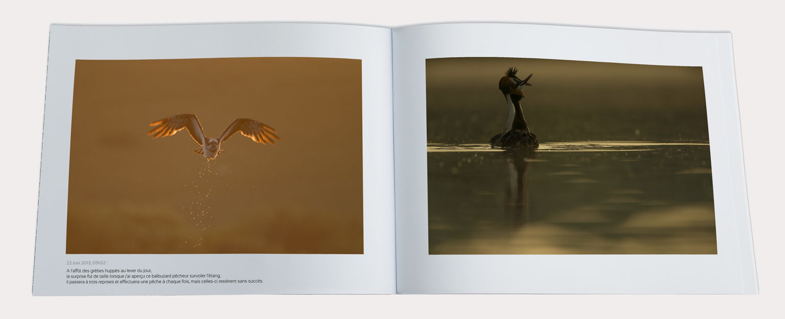 Extrait du livre Lorraine par Nature