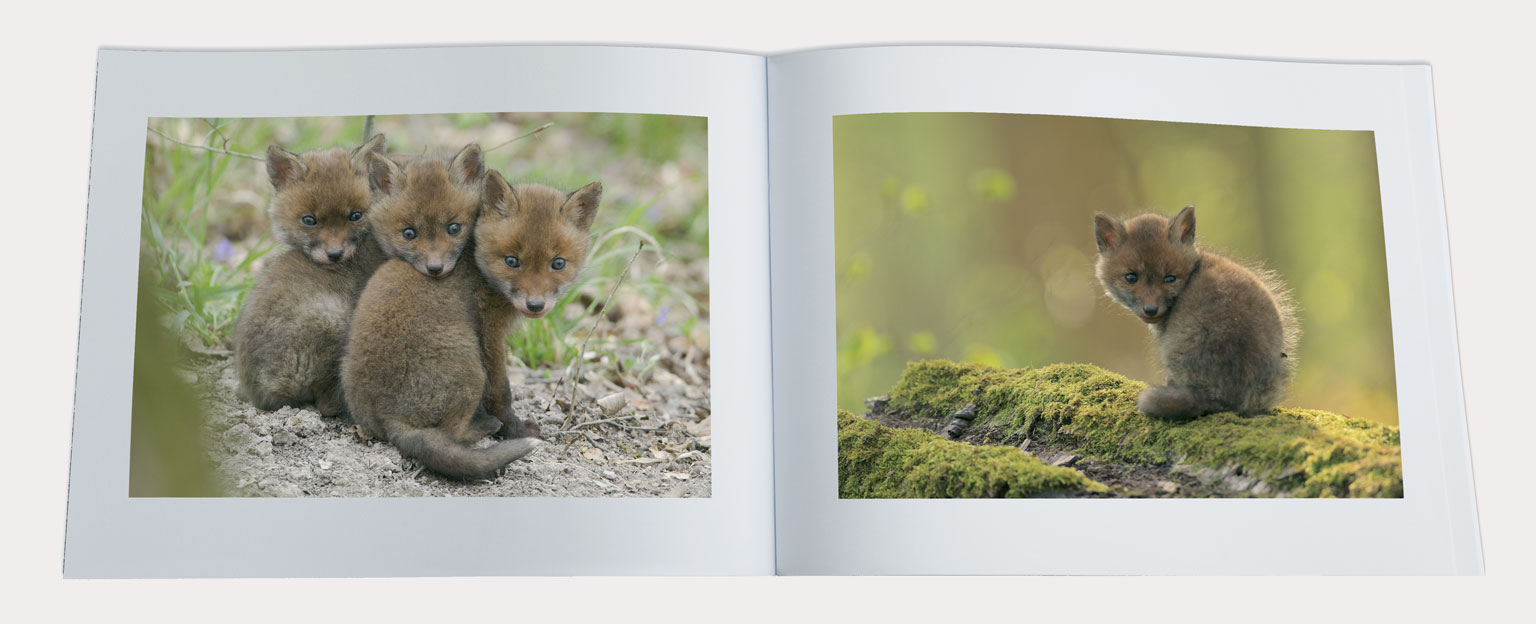 Extrait du livre Lorraine par Nature