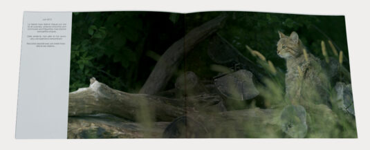 Extrait du livre Lorraine par Nature