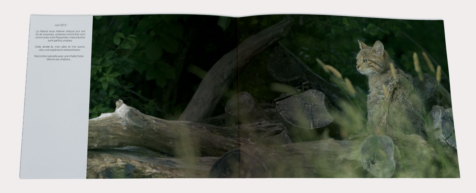 Extrait du livre Lorraine par Nature